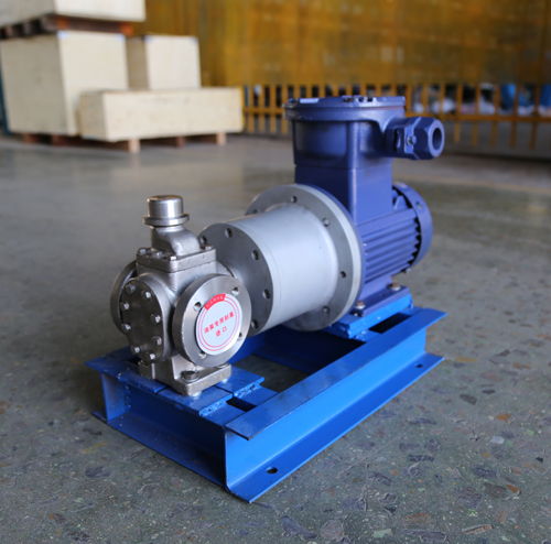 圓弧齒輪泵YCB10-1.6整機(jī)、配磁力聯(lián)軸器.JPG